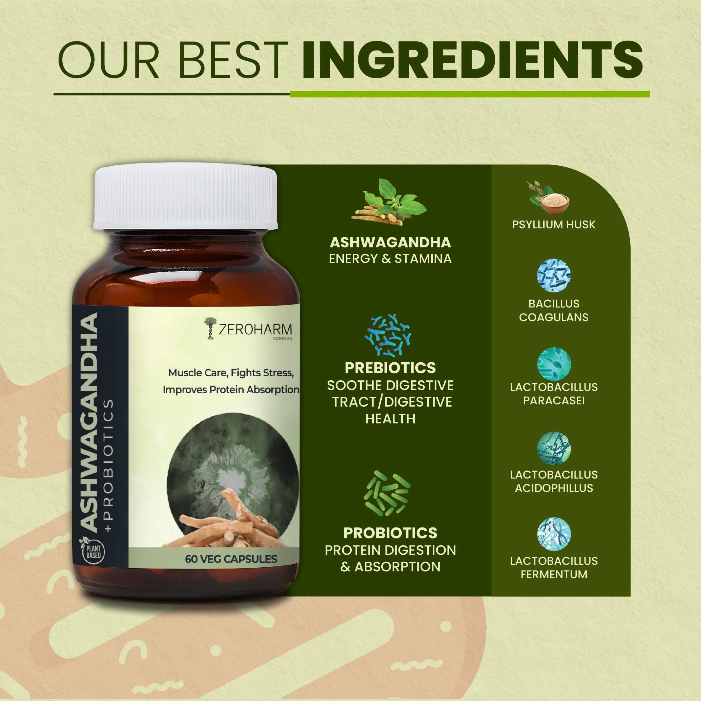 Ashwagandha Probiotic - Image 3