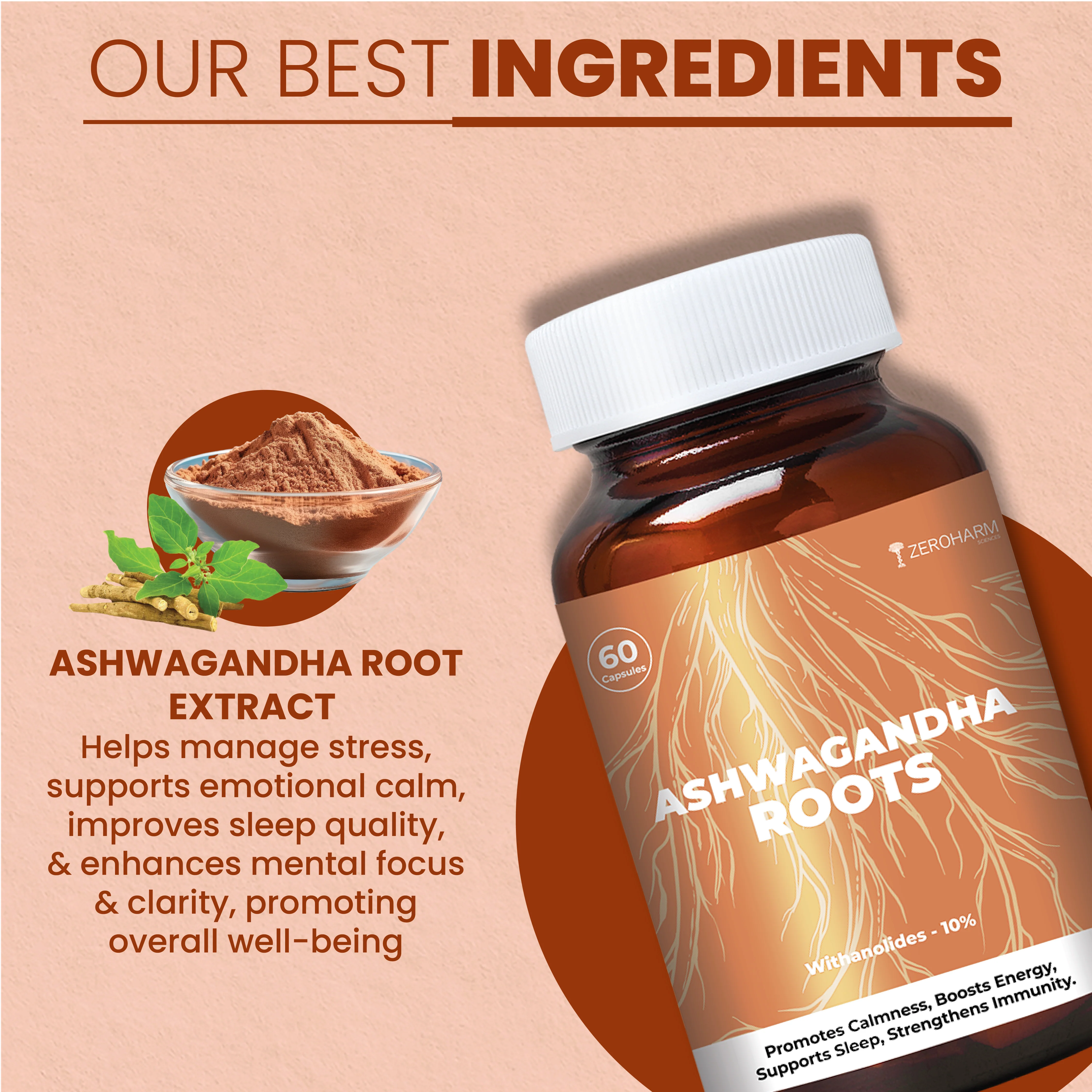 Ashwagandha Roots - Image 3