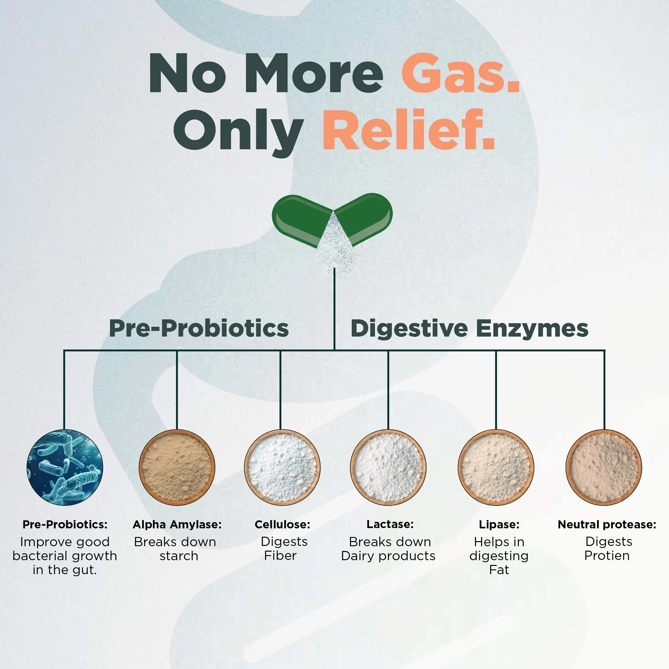 Gas Relief Capsules - Image 4