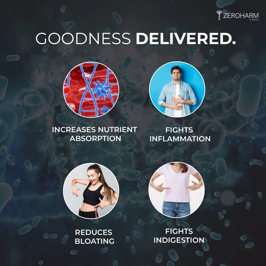 Gut Army Probiotic Immunity Booster - Image 9