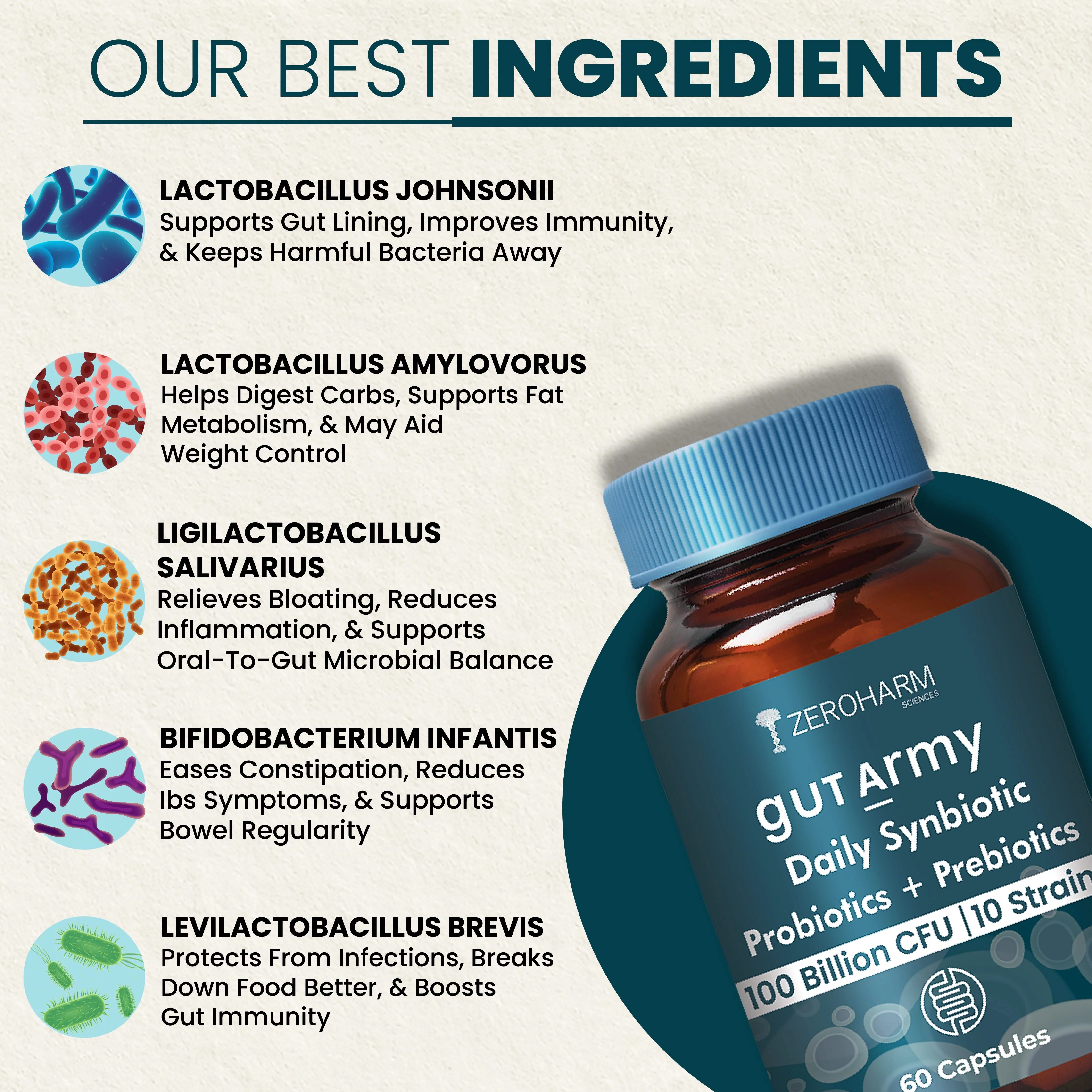 Gut Army Prebiotic & Probiotic Capsules - Image 3