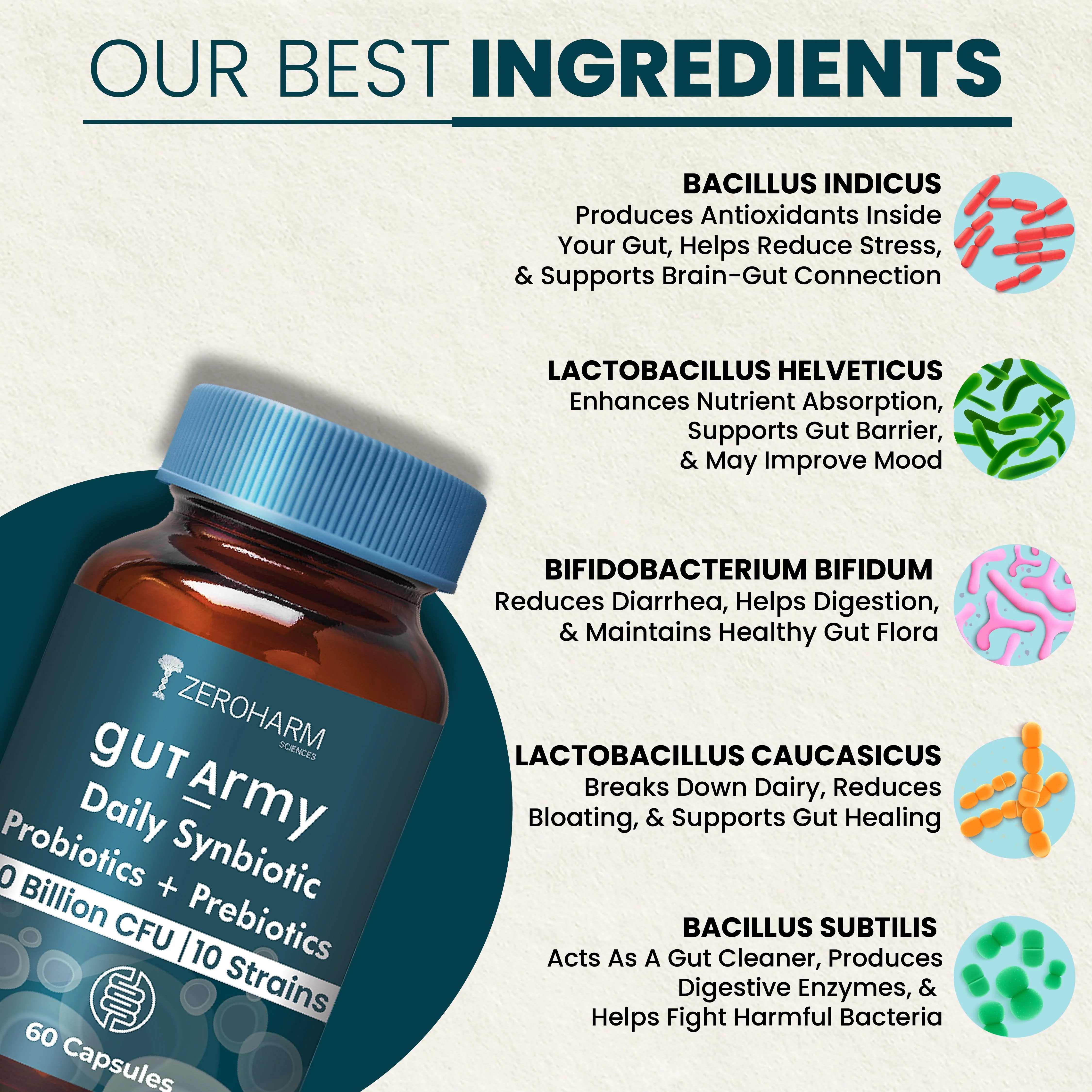 Gut Army Prebiotic & Probiotic Capsules - Image 4