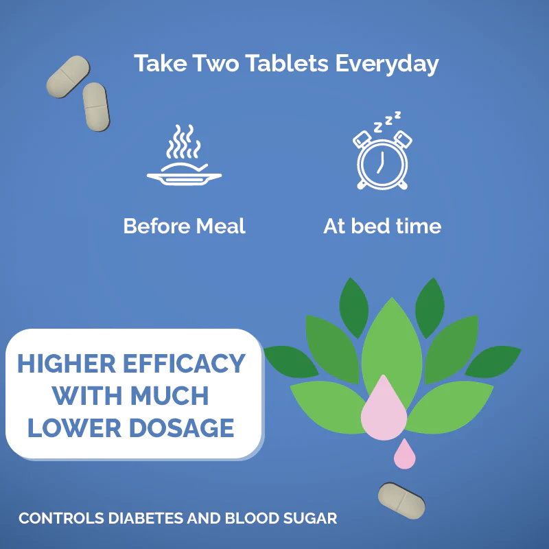 Holo Diabetis Tablets - Image 12