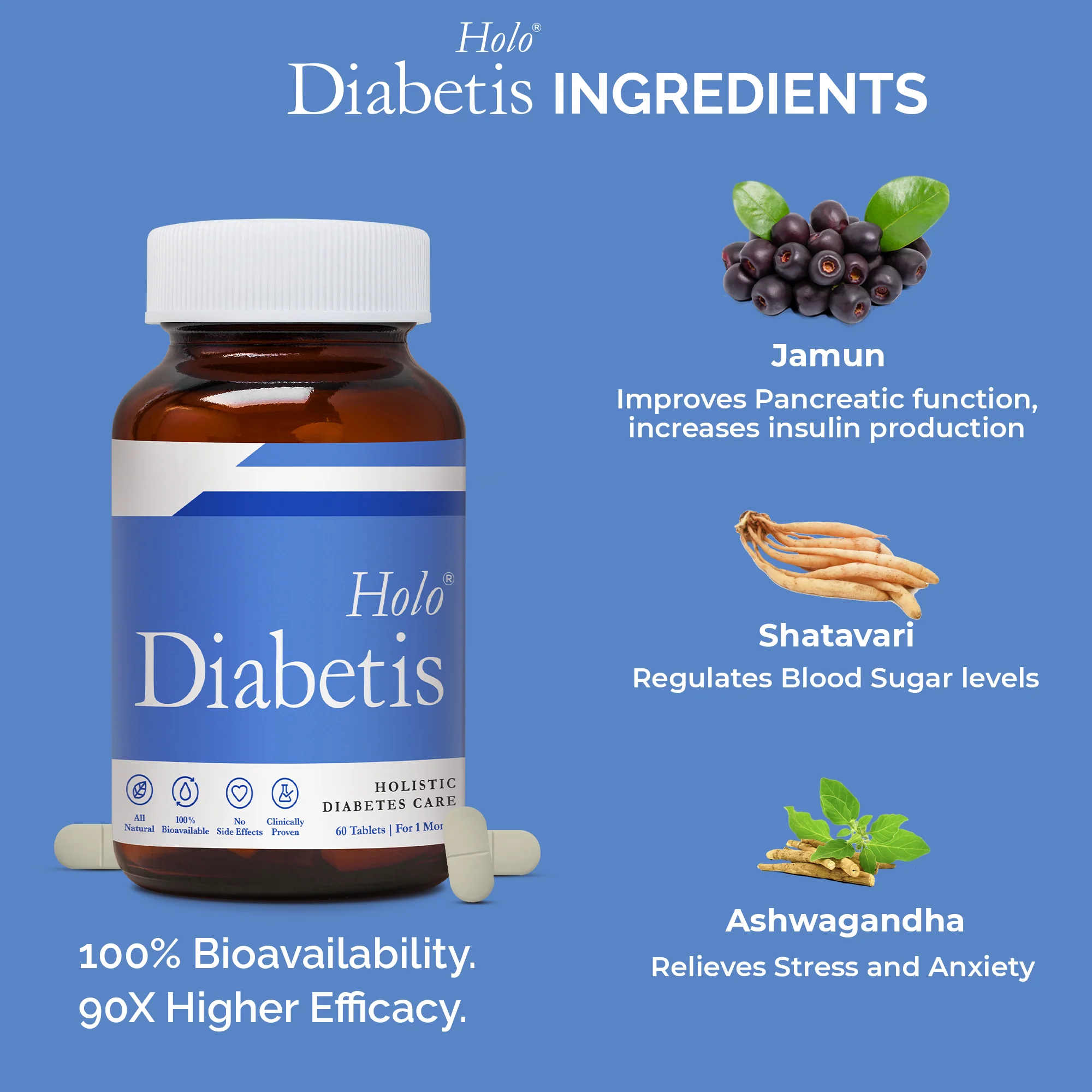 Holo Diabetis Tablets - Image 9