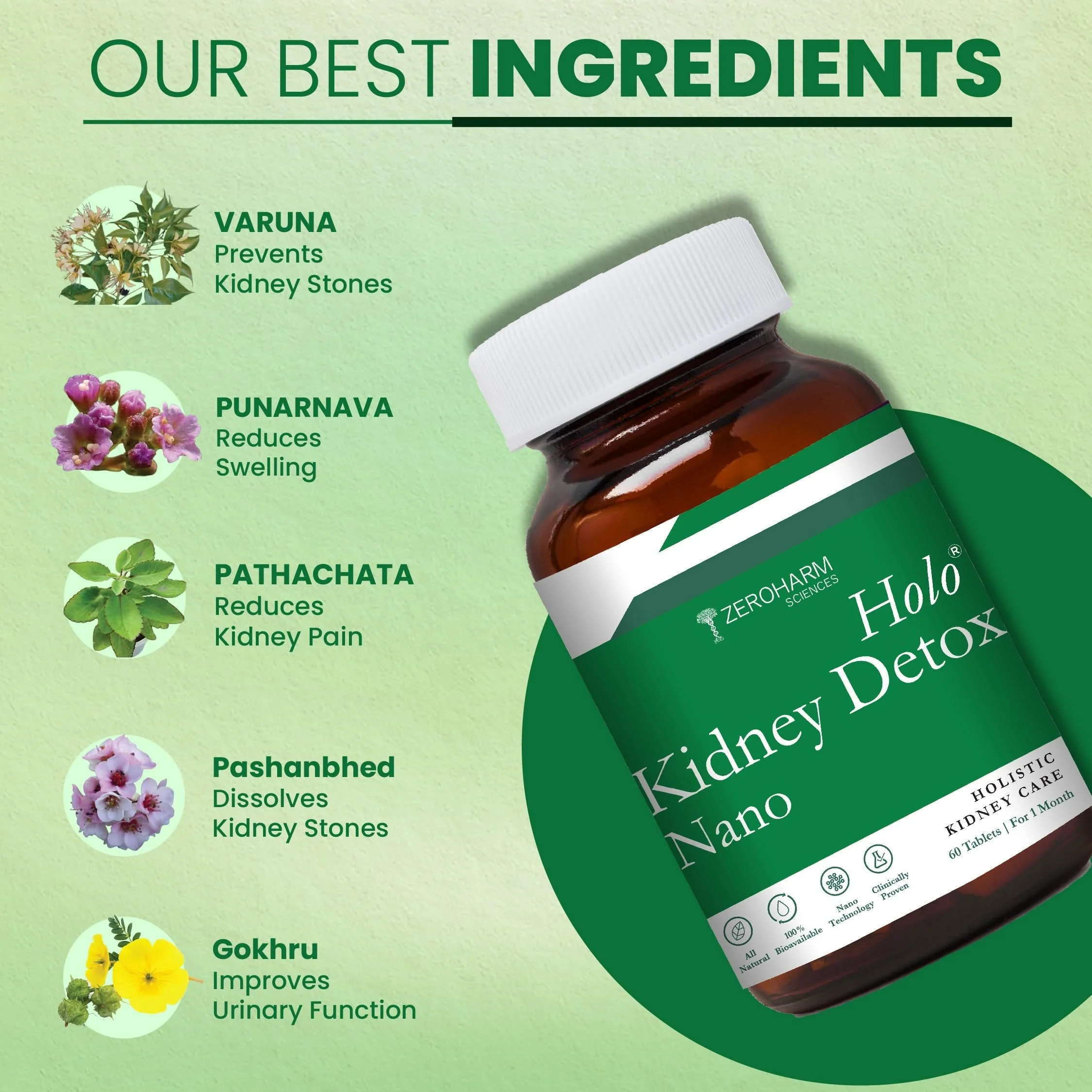 Holo Kidney Detox Tablets - Image 3