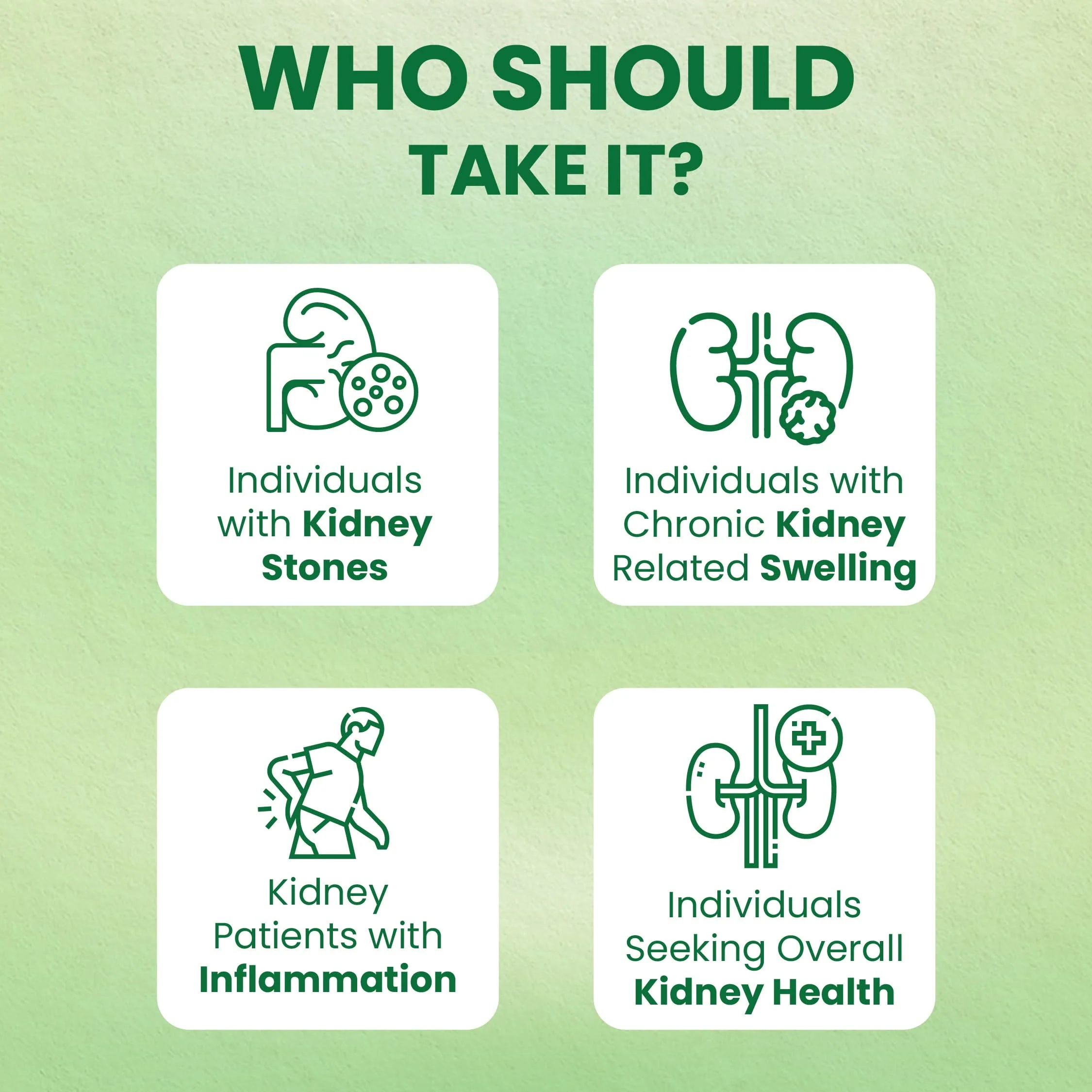 Holo Kidney Detox Tablets - Image 4