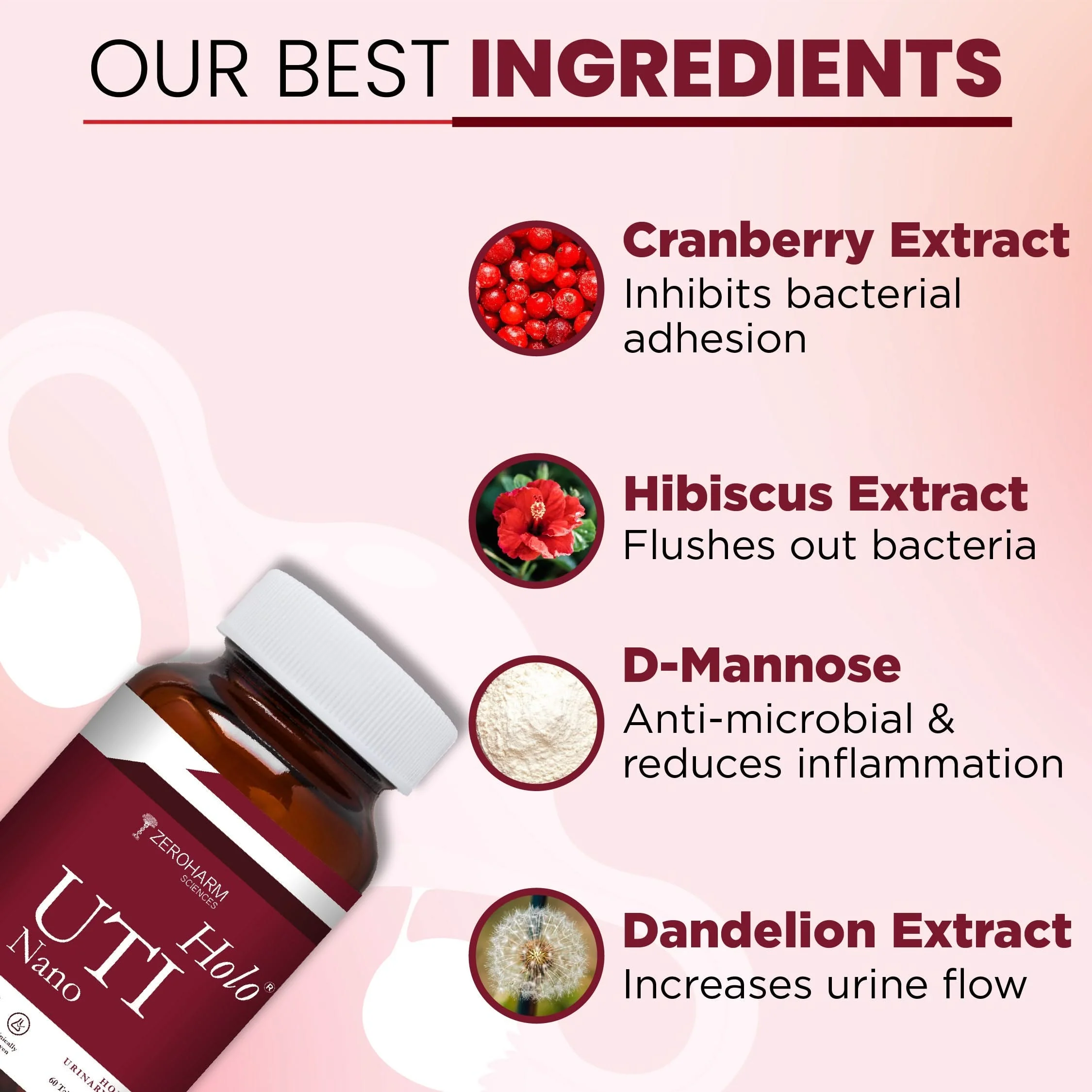 Holo UTI (Urinary Tract Infection) Tablets - Image 3
