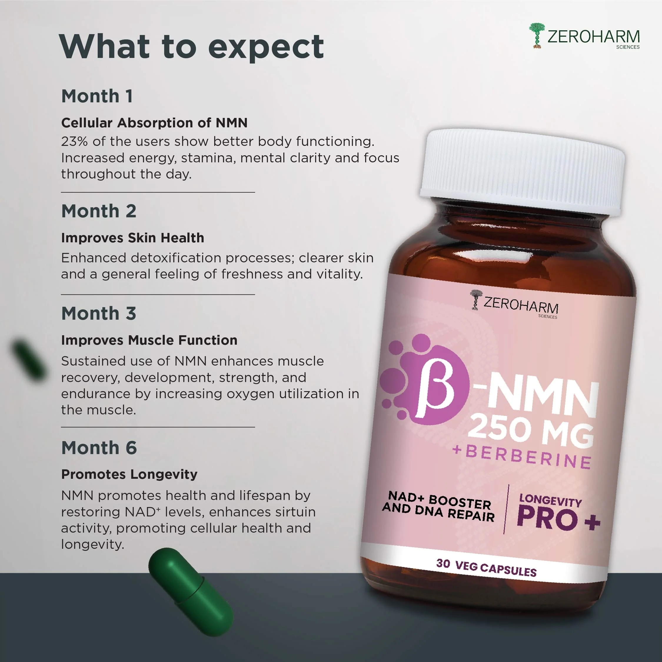 NMN 250 MG + Berberine | 30 Capsules To Boost NAD+ - Image 6
