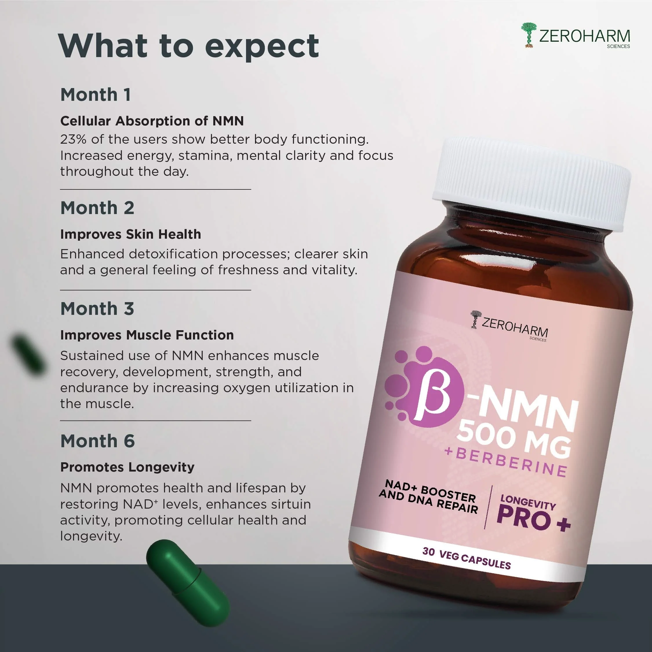 NMN 500 MG + Berberine | 30 Capsules To Boost NAD+ - Image 4