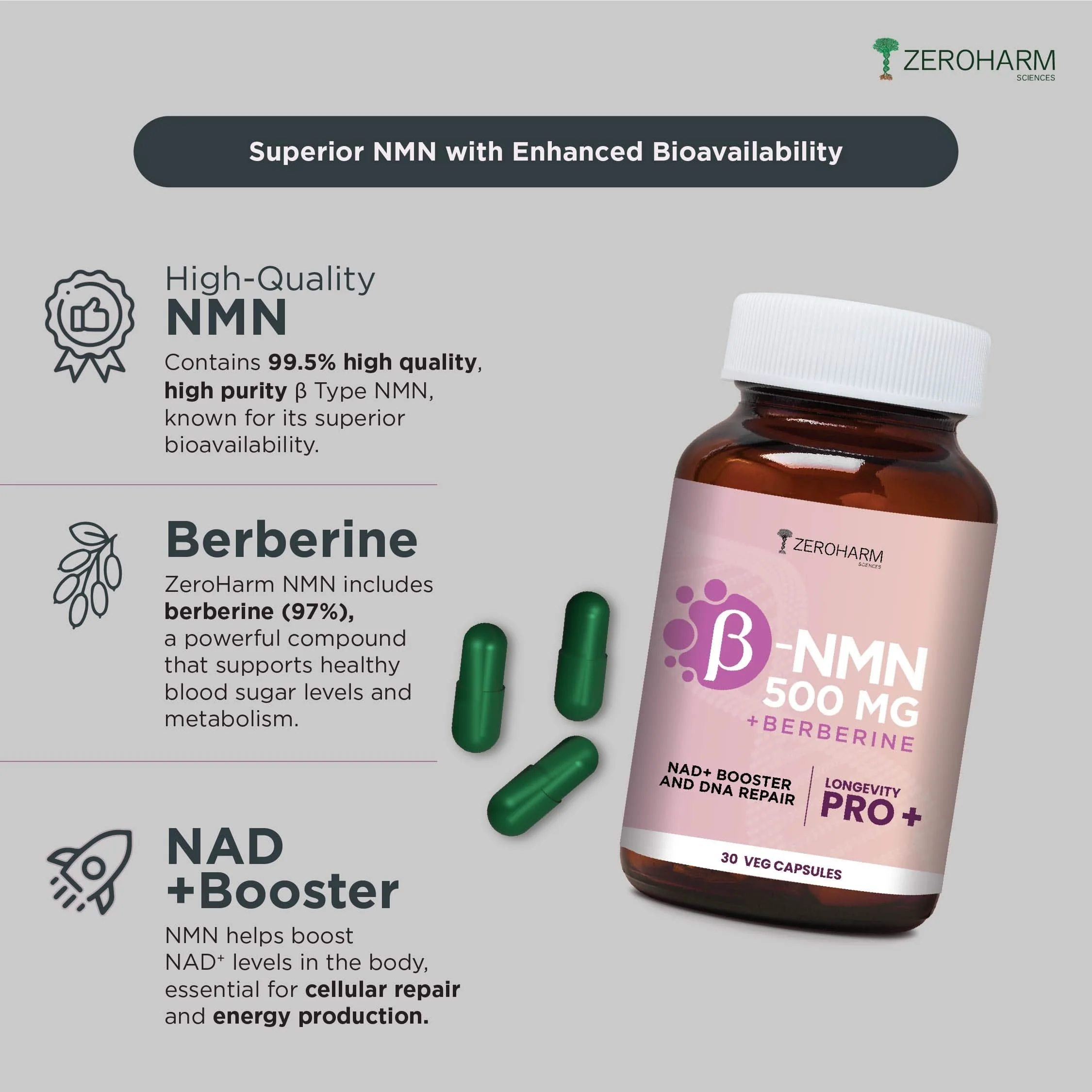 NMN 500 MG + Berberine | 30 Capsules To Boost NAD+ - Image 7