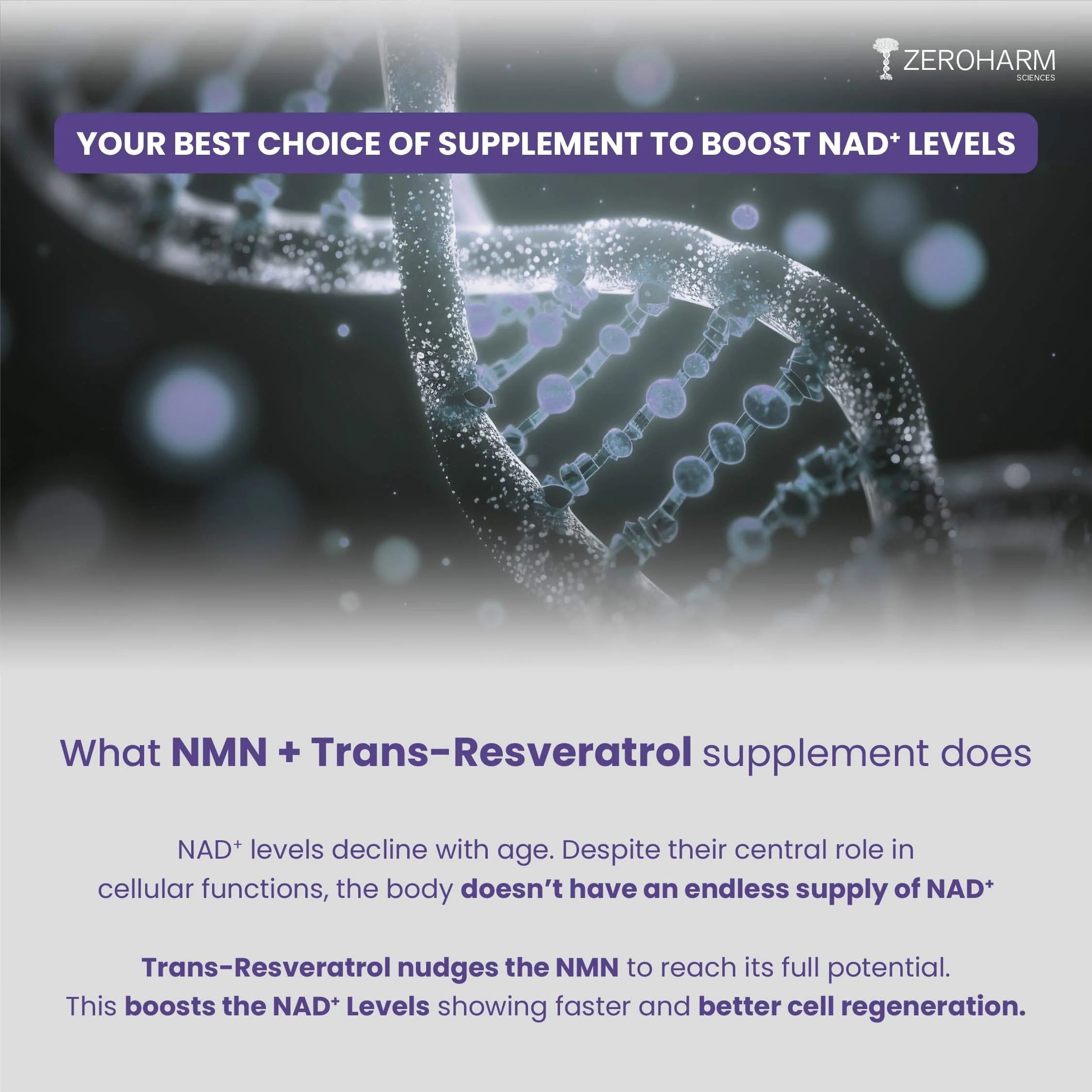 NMN + Trans-Resveratrol - Image 5