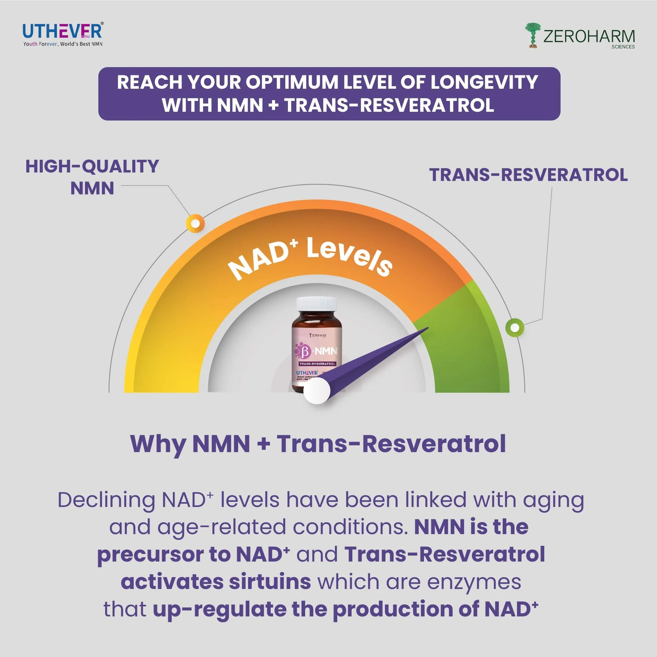 NMN + Trans-Resveratrol - Image 6