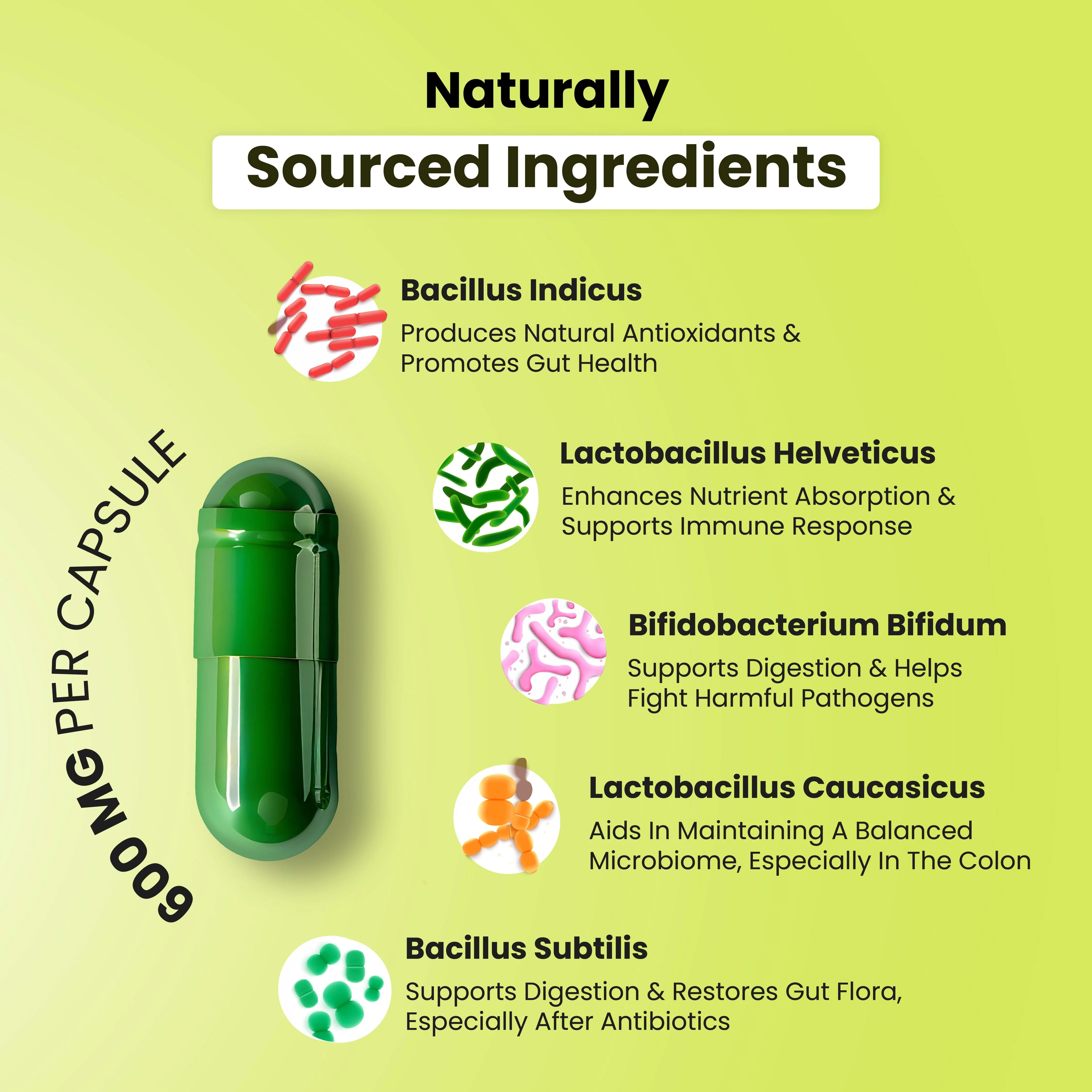 Probiotic Multivitamin All In One Capsules - Image 10
