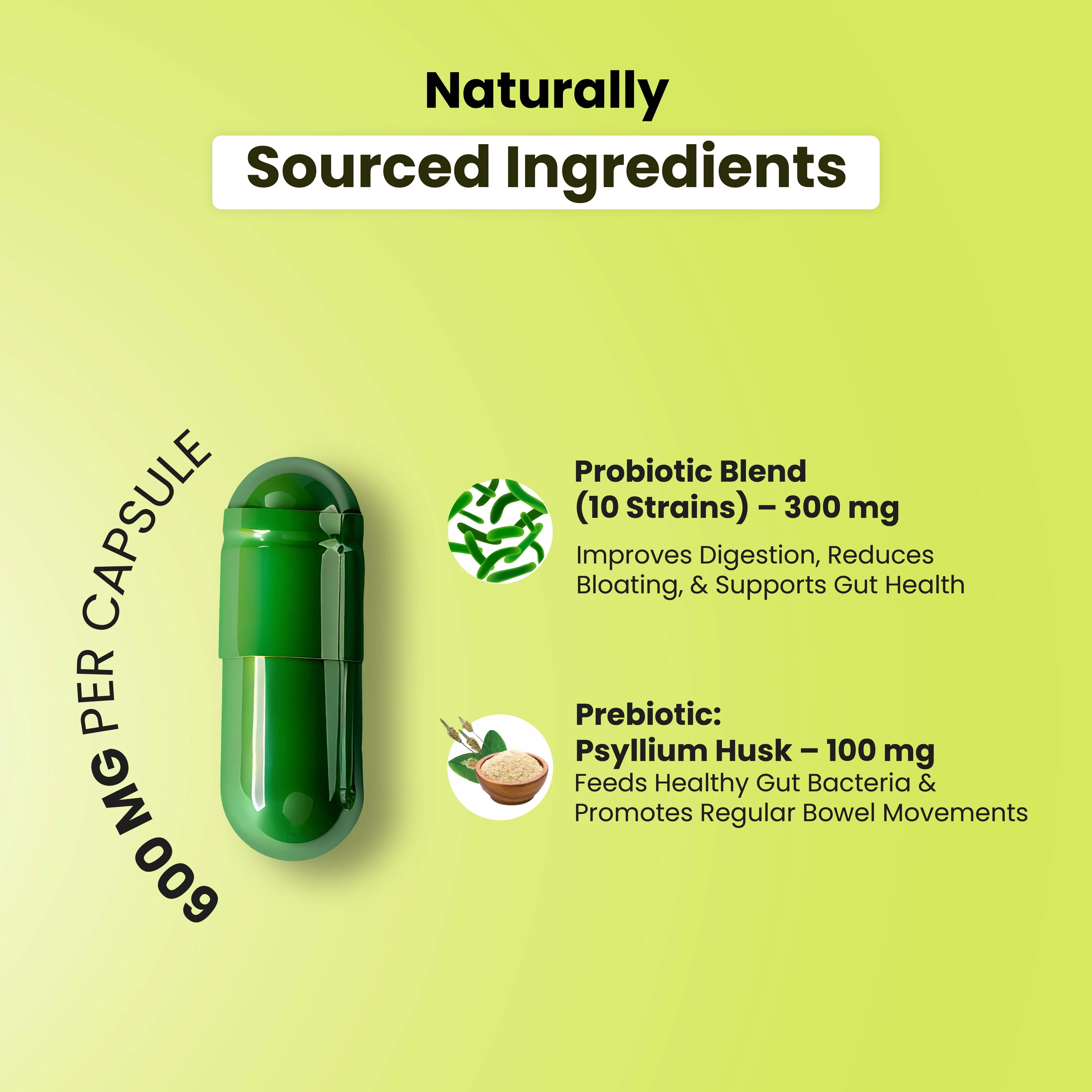 Probiotic Multivitamin All In One Capsules - Image 3