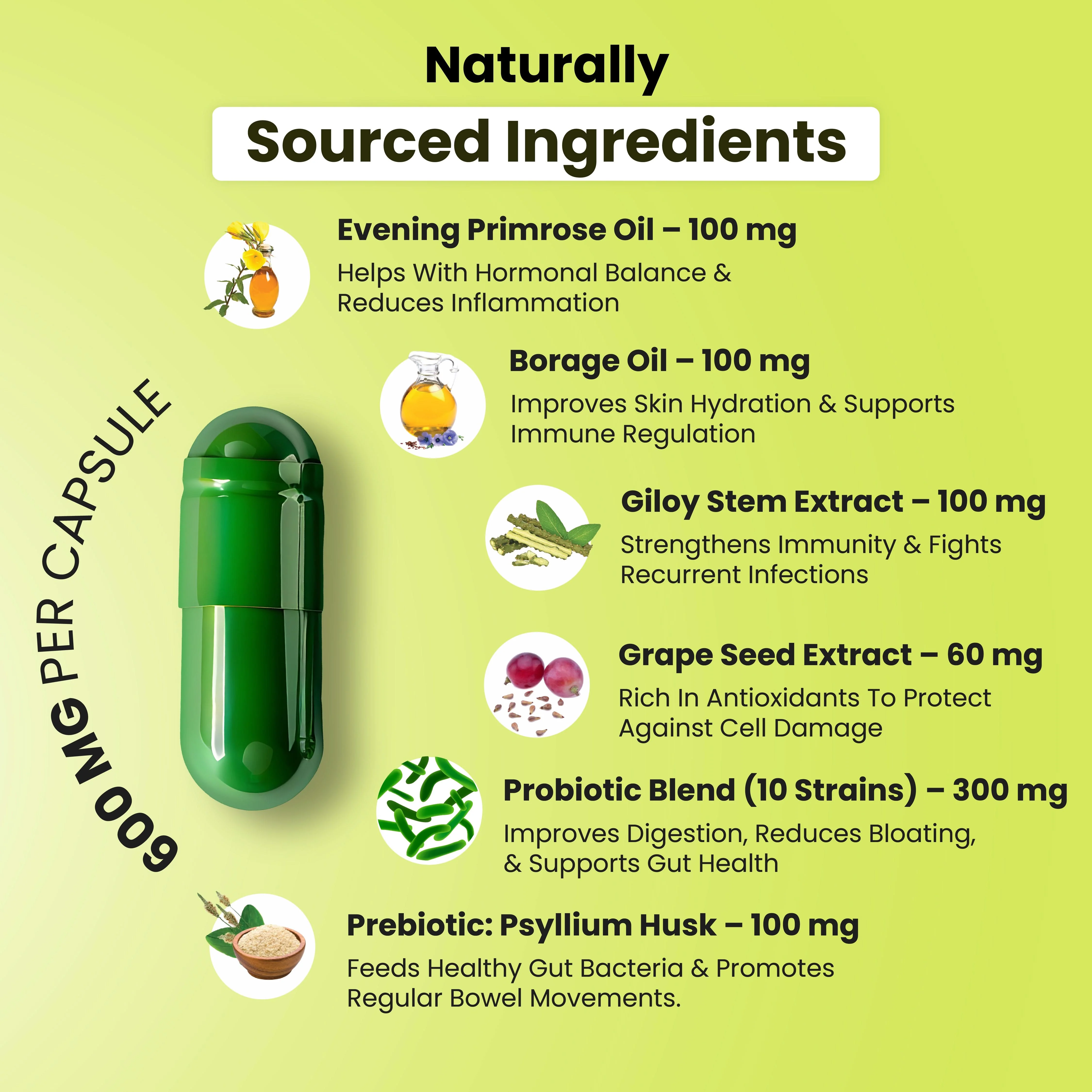 Probiotic Multivitamin All In One Capsules - Image 4