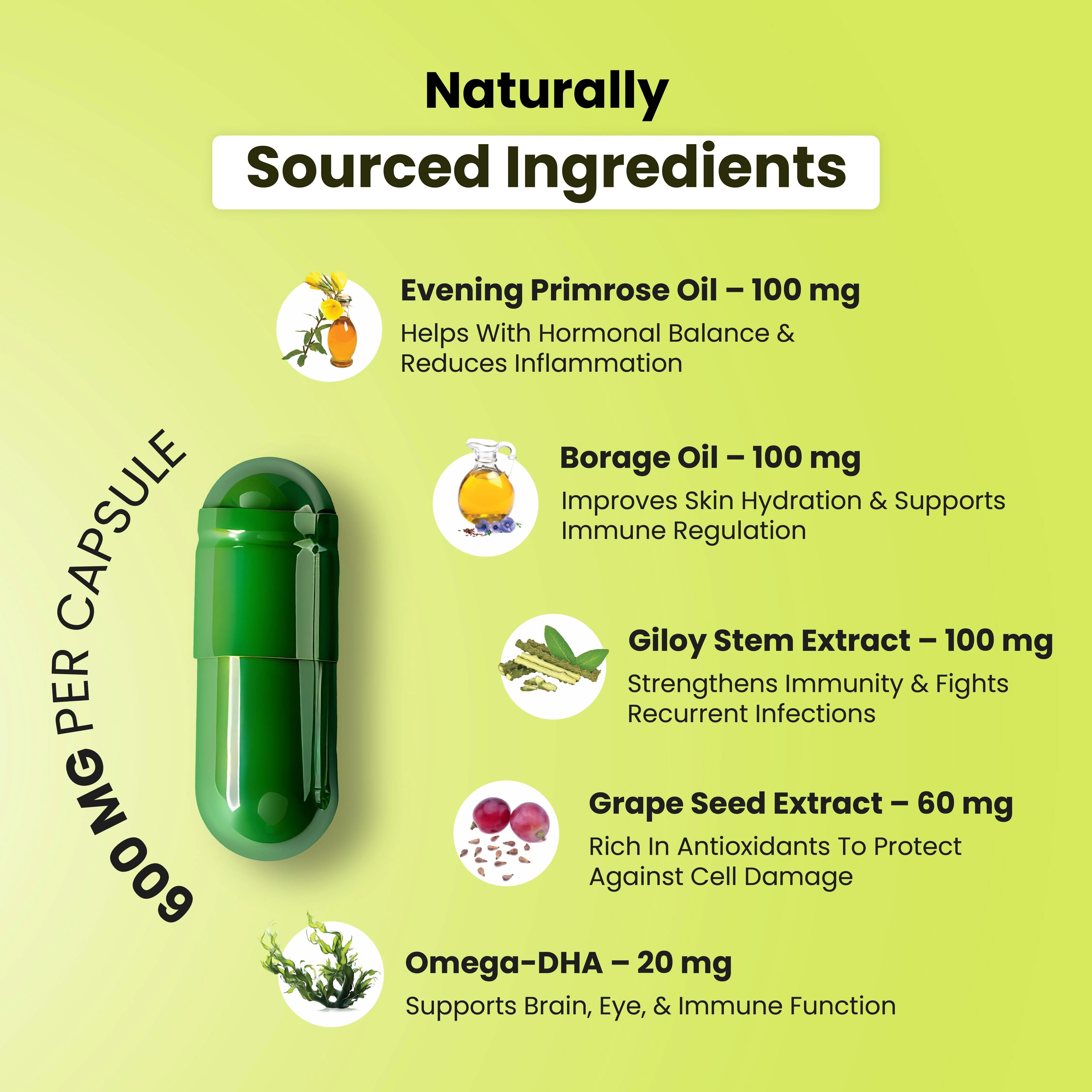Probiotic Multivitamin All In One Capsules - Image 5