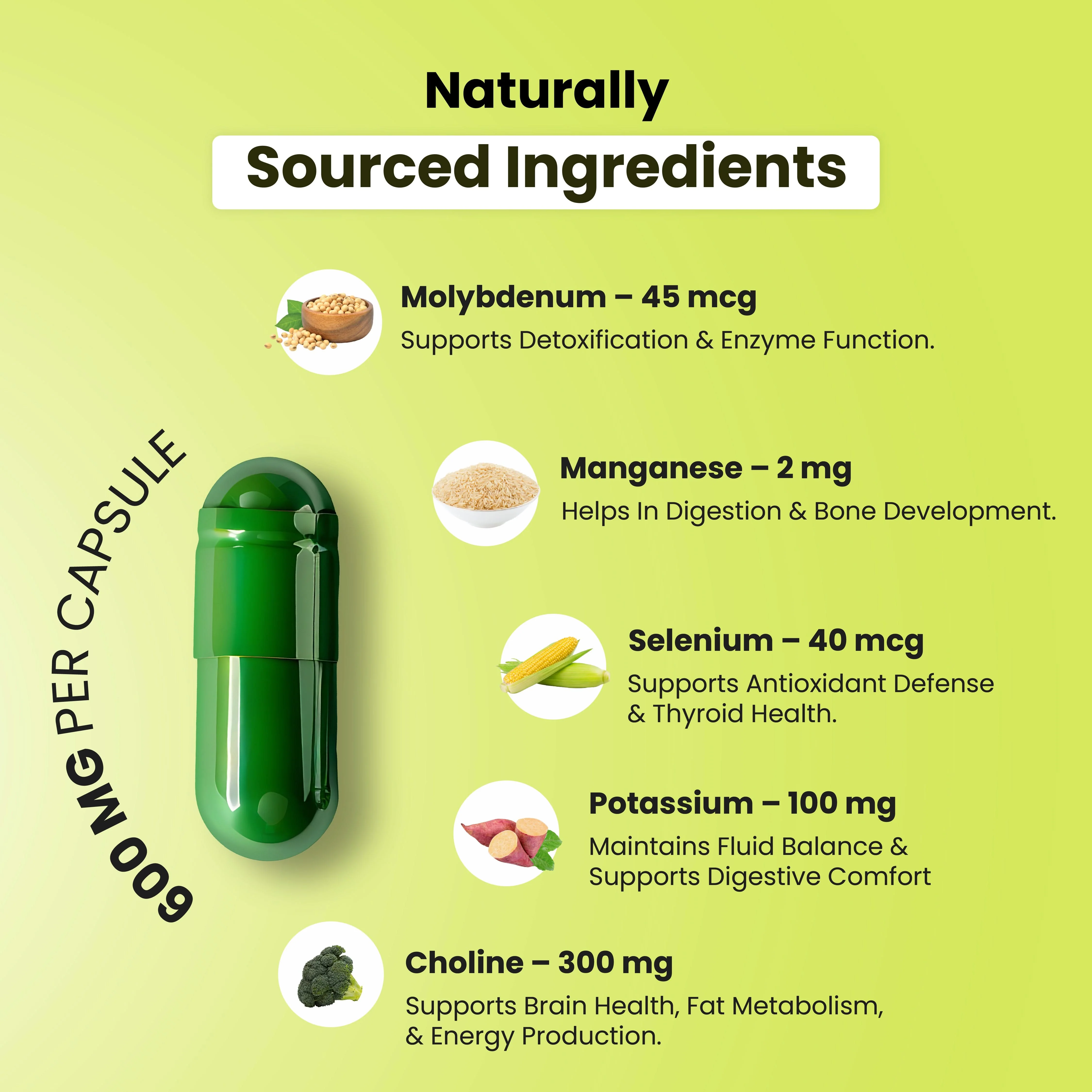 Probiotic Multivitamin All In One Capsules - Image 8