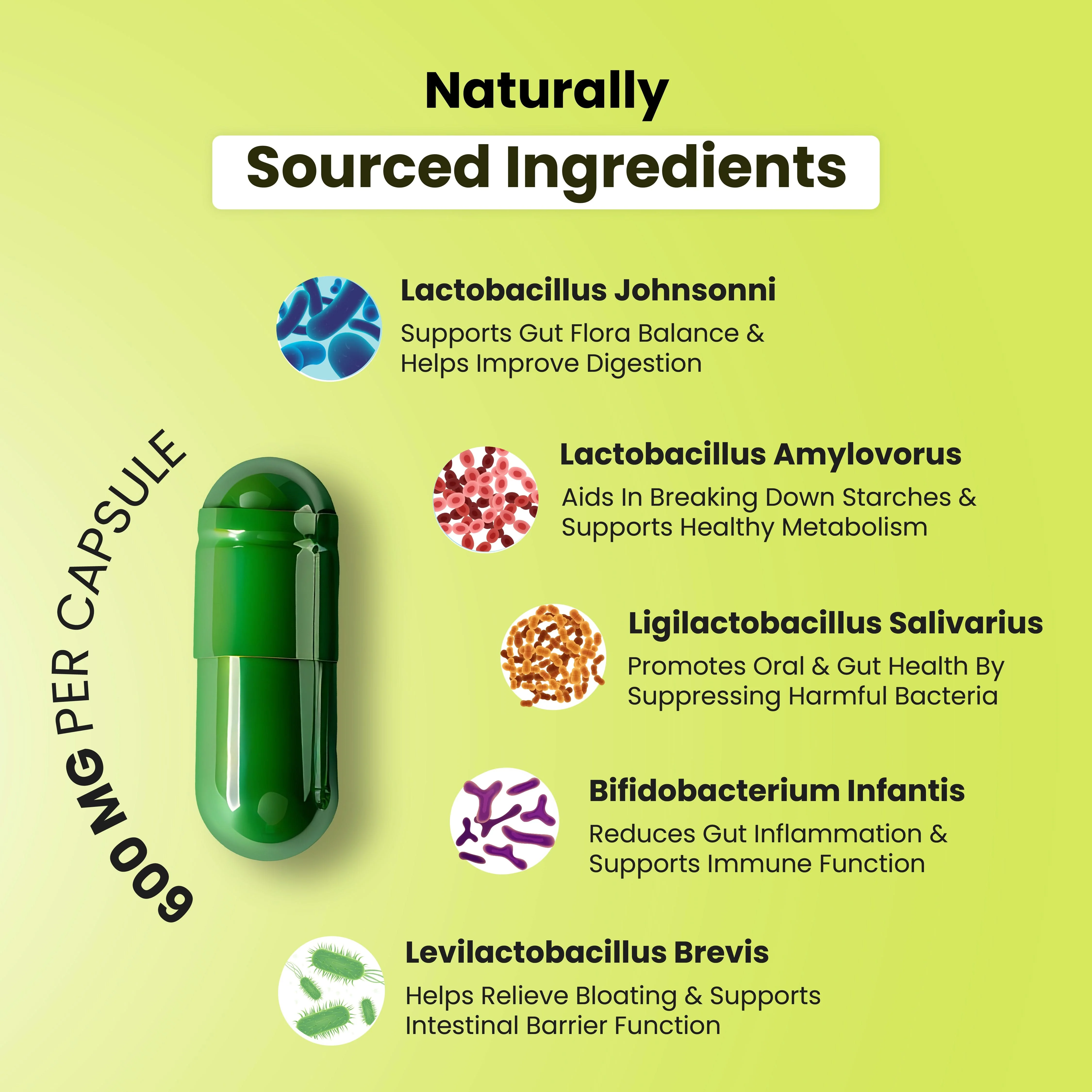 Probiotic Multivitamin All In One Capsules - Image 9
