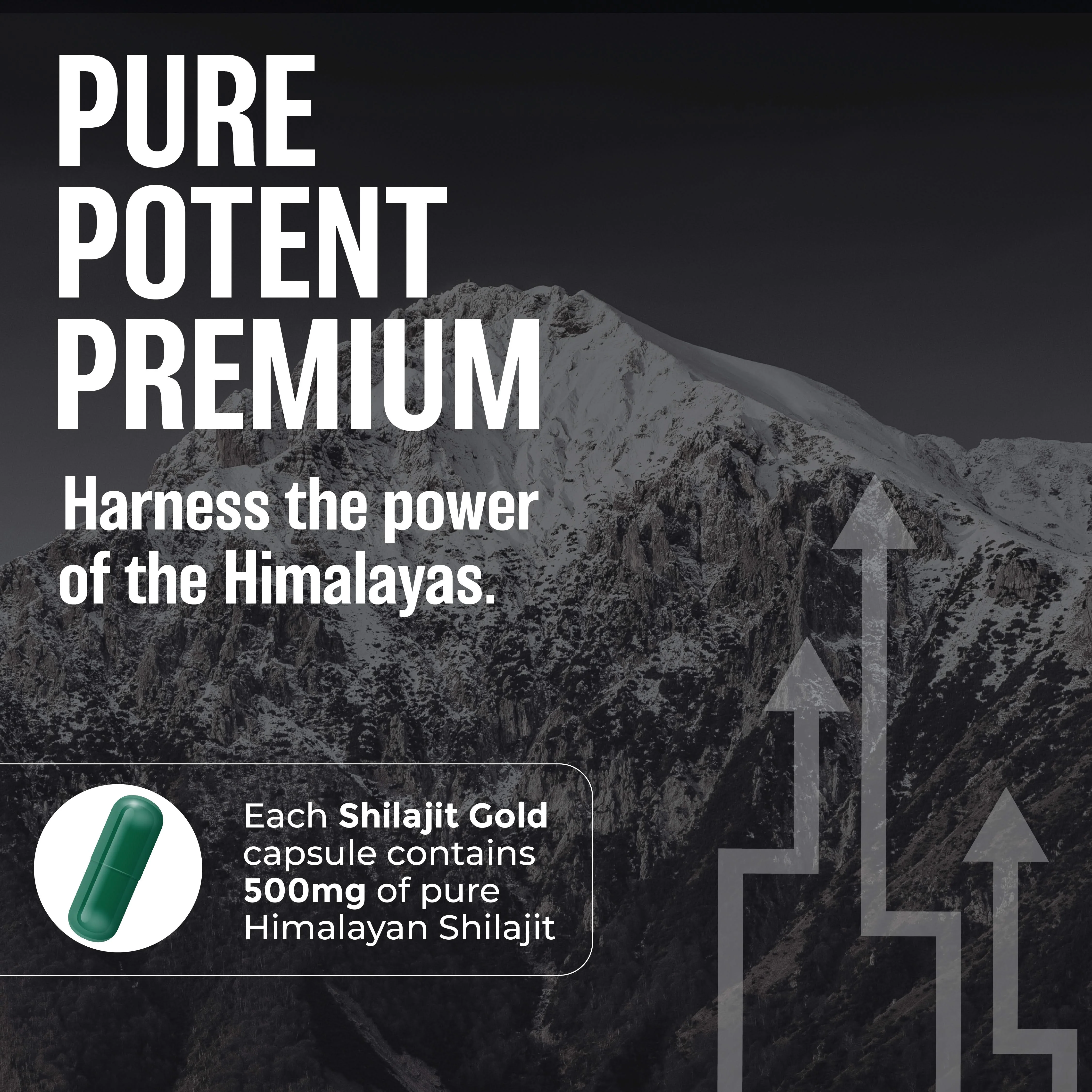 Pure Shilajit Gold Capsules - Image 4