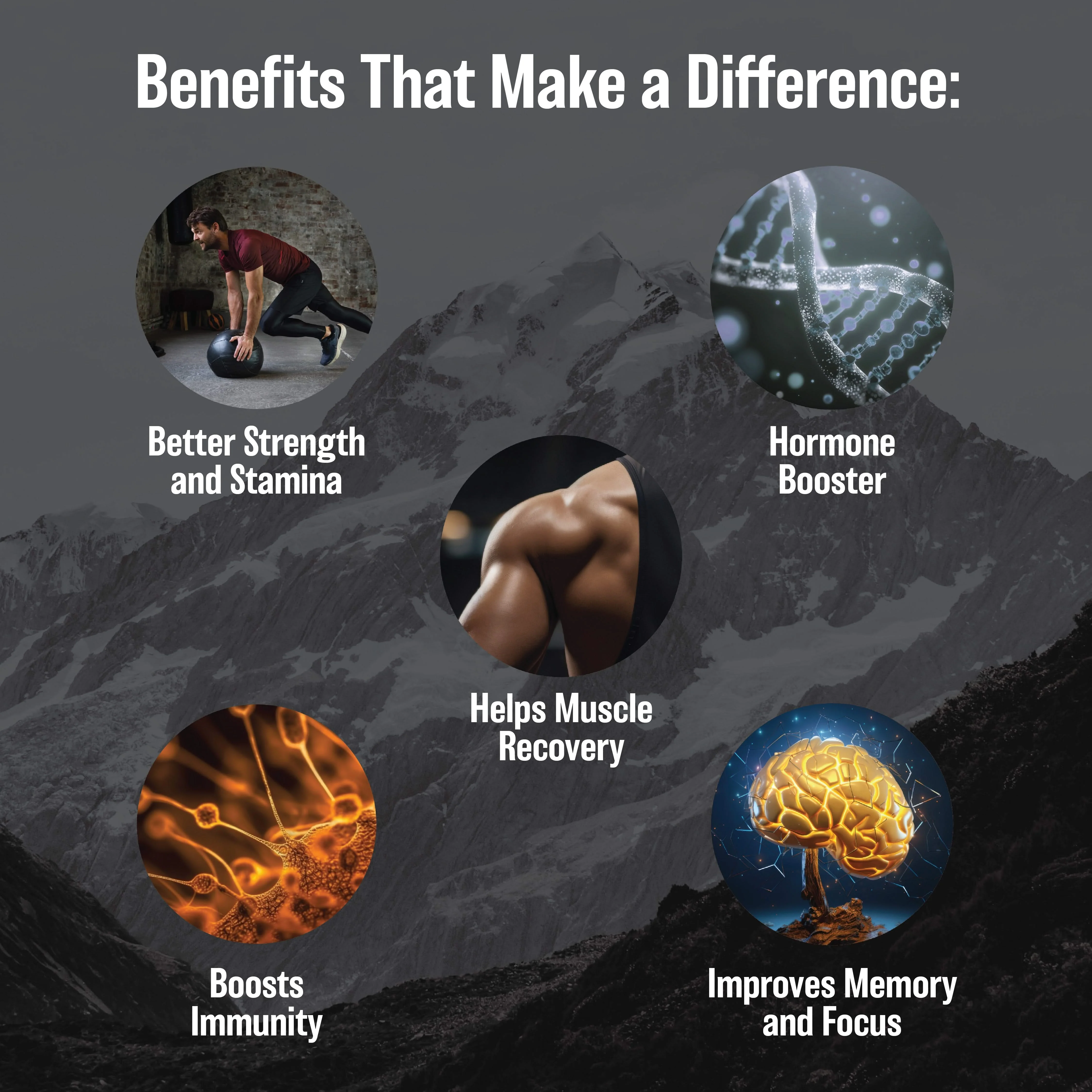 Pure Shilajit Gold Capsules - Image 5