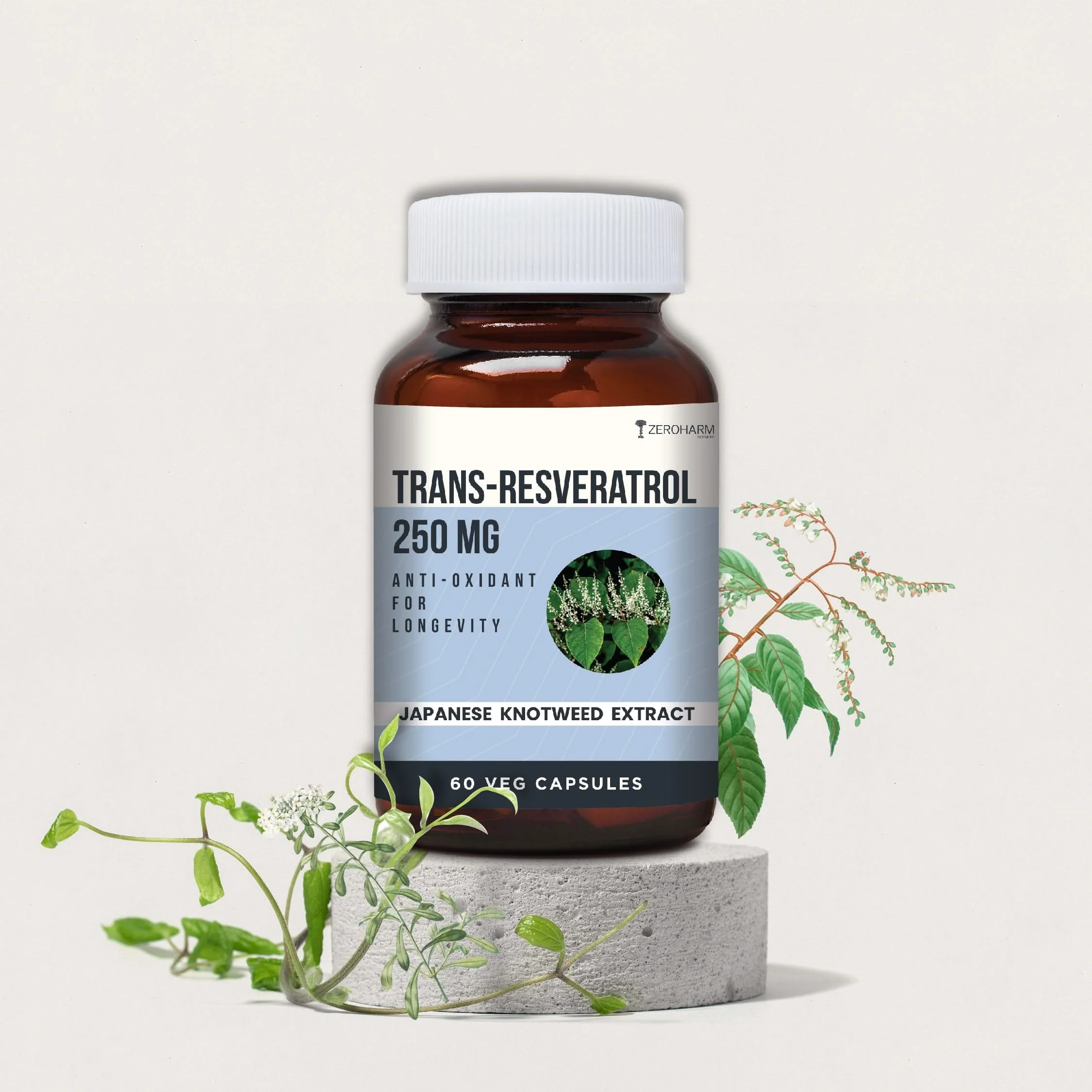 Best Longevity Supplements