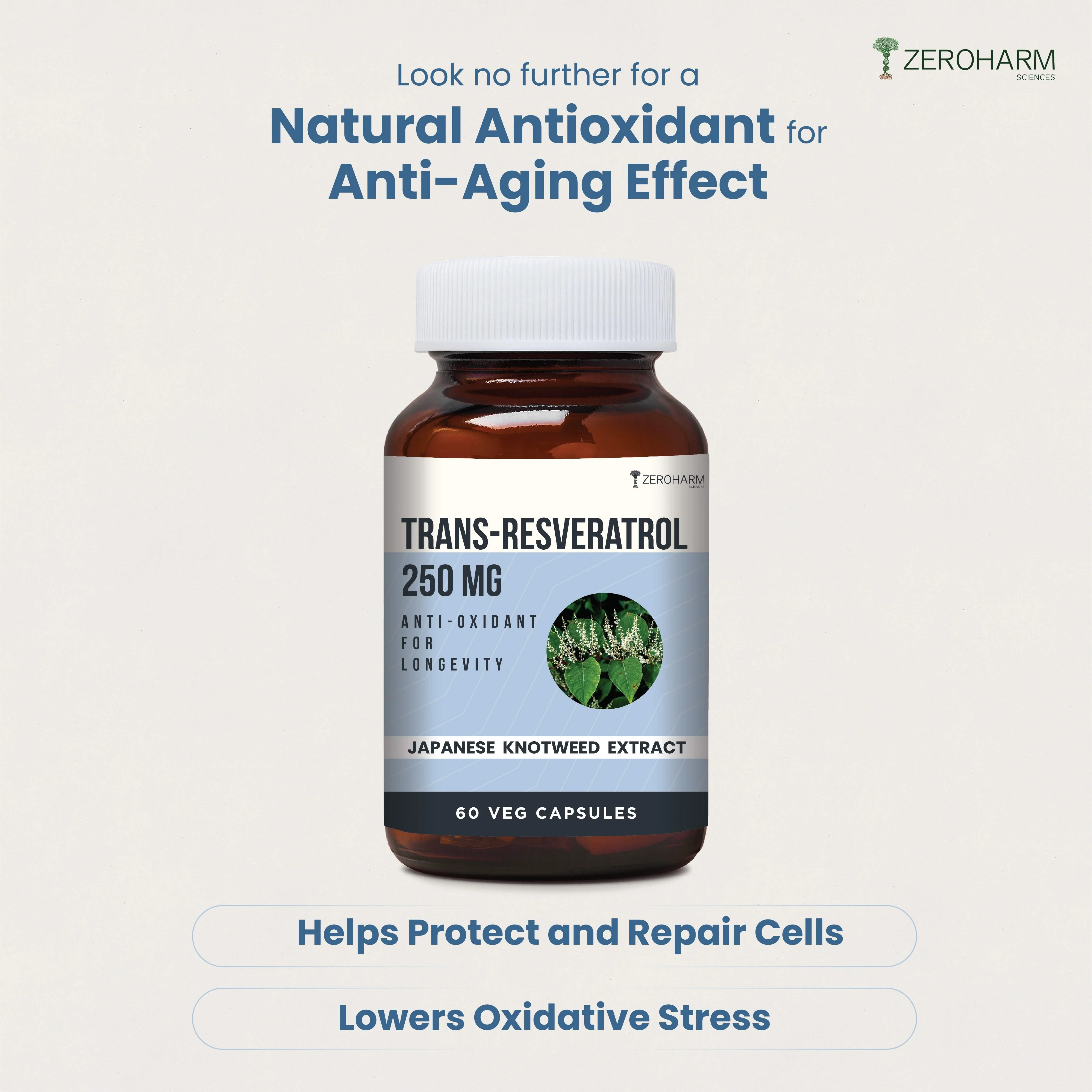 Trans-Resveratrol 250 mg Capsules - Image 3