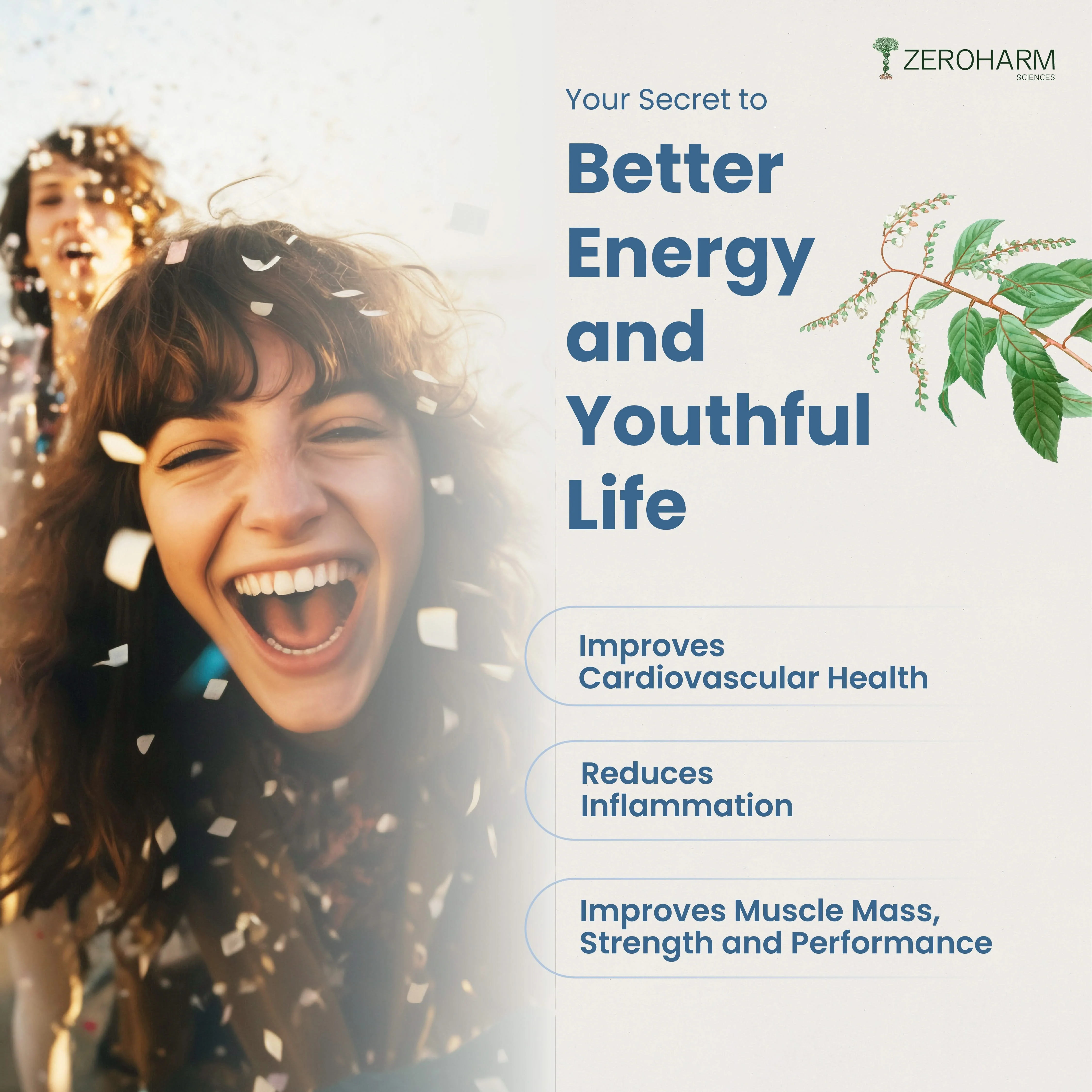 Trans-Resveratrol 250 mg Capsules - Image 4