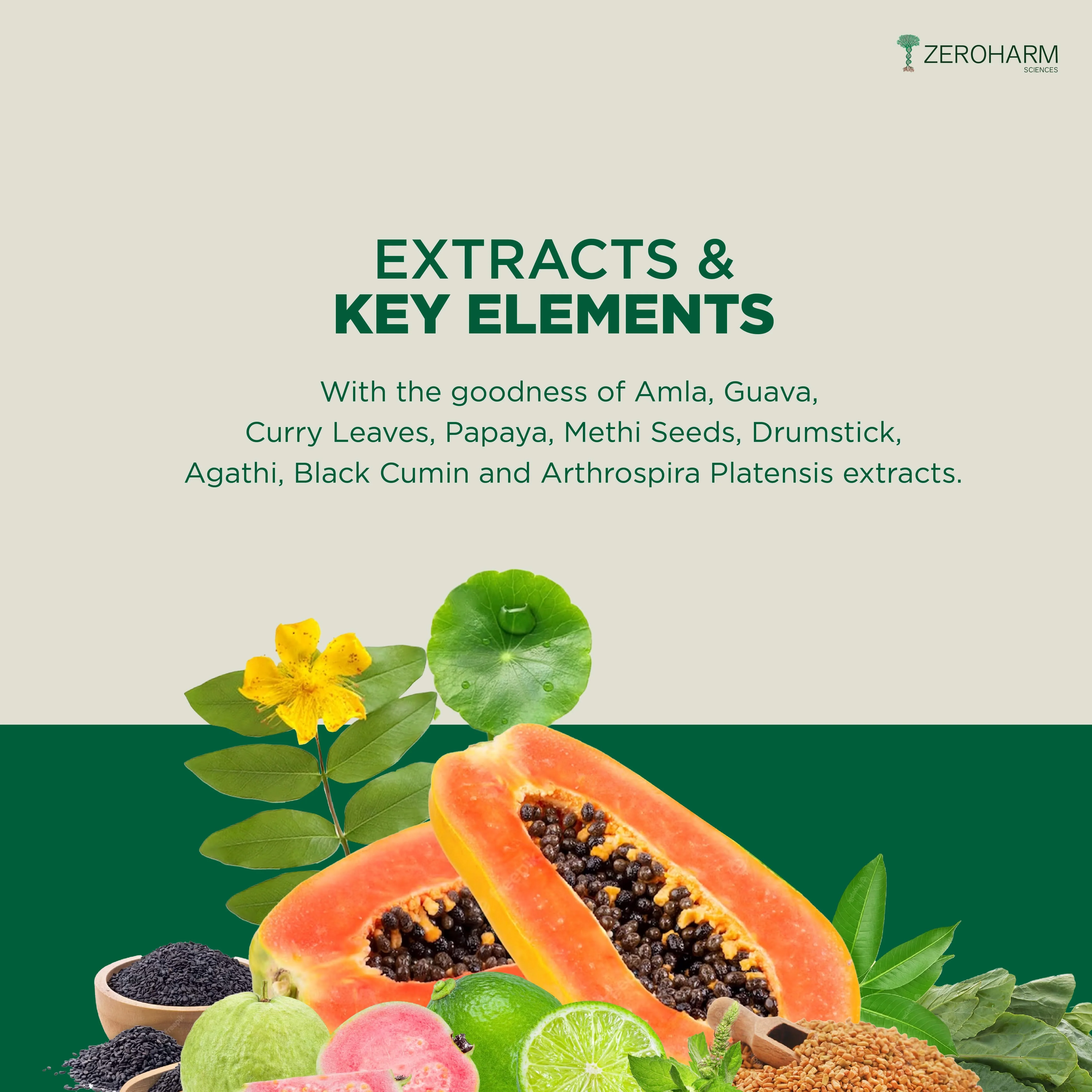 Plant Based Vitamin B Complex Pro - Image 10