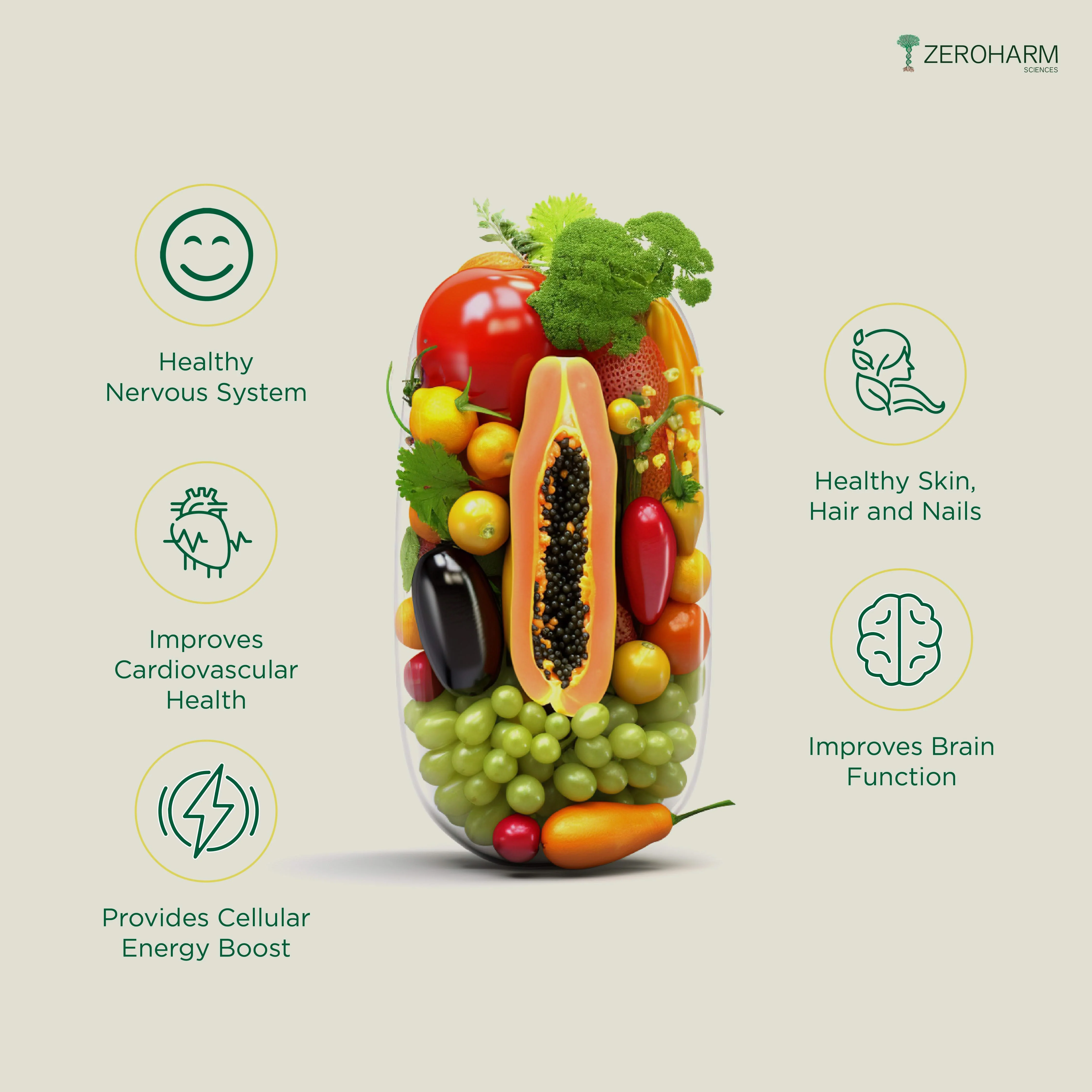 Plant Based Vitamin B Complex Pro - Image 11