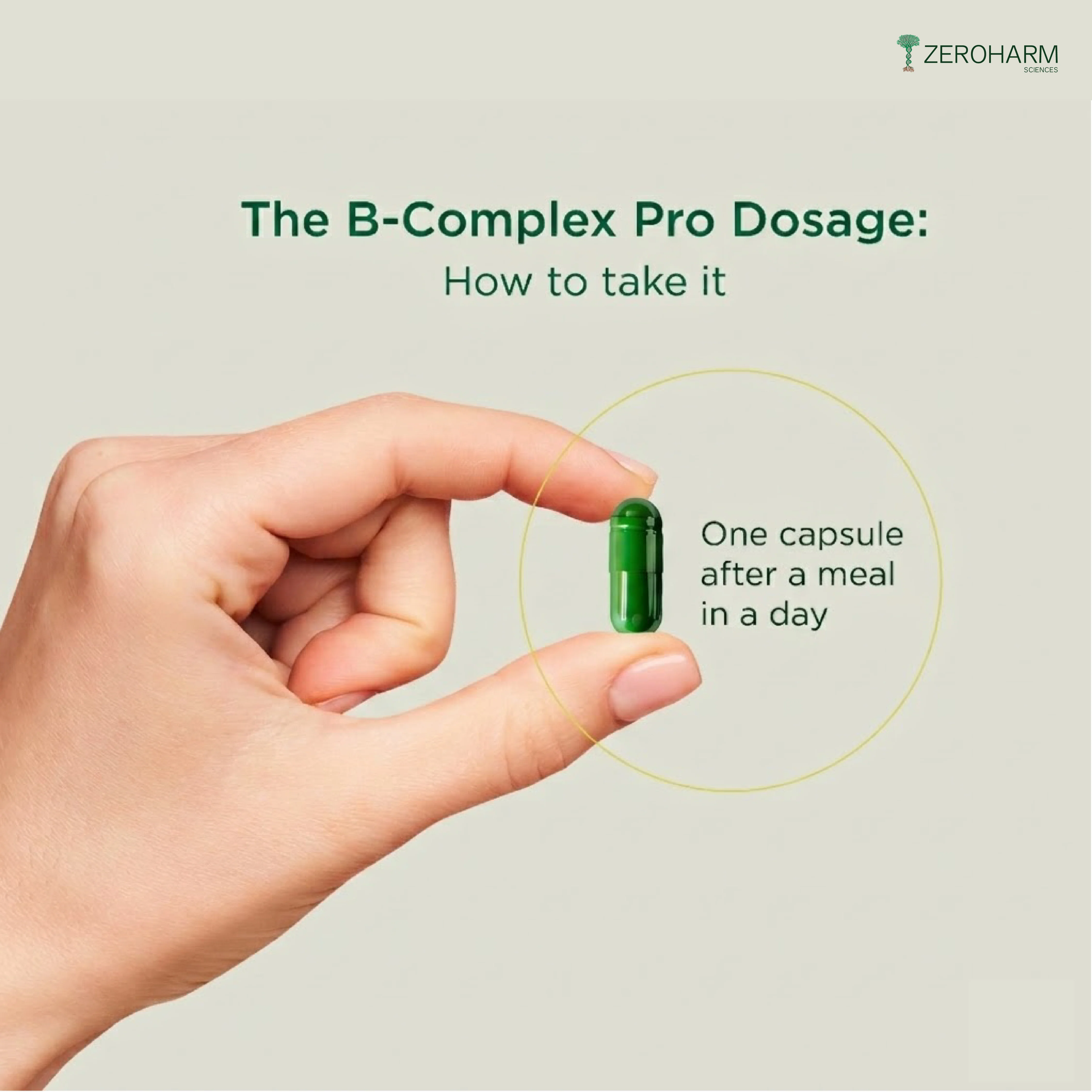 Plant Based Vitamin B Complex Pro - Image 12